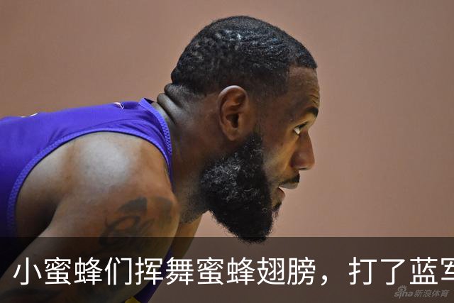 小蜜蜂们挥舞蜜蜂翅膀，打了蓝军个措手不及！